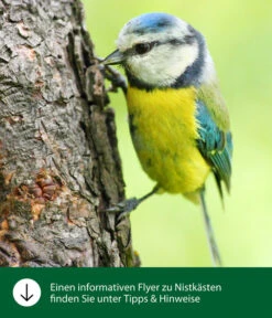 Dehner Natura Nistkasten CLiCK, Ca. B17/H22,5/T12 Cm -KERBL Store WE IG FlyergrafikDehnerNaturaNistkaesten 7