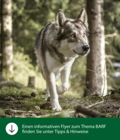 Dehner Wild Nature BARF-Ergänzungsfutter Für Hunde Flocken-Mix Pastinake-Kürbis -KERBL Store WE IG FlyergrafikDehnerWildNatureBarfFuetterung 1
