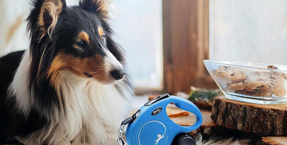 KERBL Store -KERBL Store z6718115582805 b361bed25298ec79fee2a9264a8f32ae e1750240262462