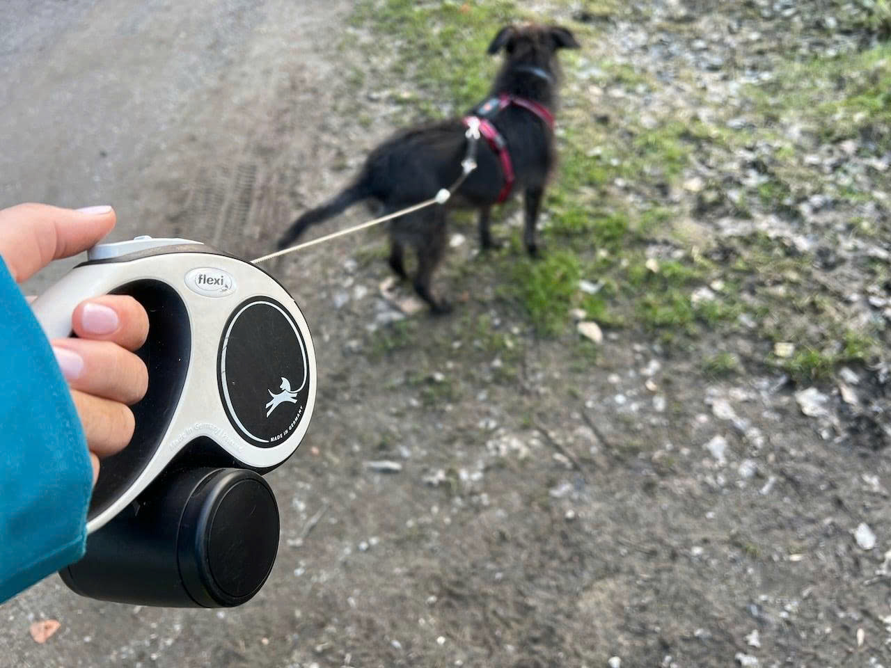 KERBL Store -KERBL Store z6718186855463 024402f90ad8eb9d24a81ea625c2a8ba